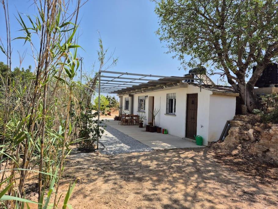 Casa Tinka - Paradise * Valencia